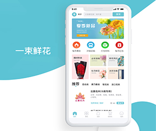 连云港苹果APP定制开发信息发布系统让你的想法成真，通过我们的开发团队【购买即送，优惠不容错过】